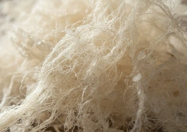 Konjac fiber MetaBurn ingredient for fullness and appetite support