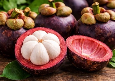 Mangosteen MetaBurn ingredient for antioxidant and metabolic support